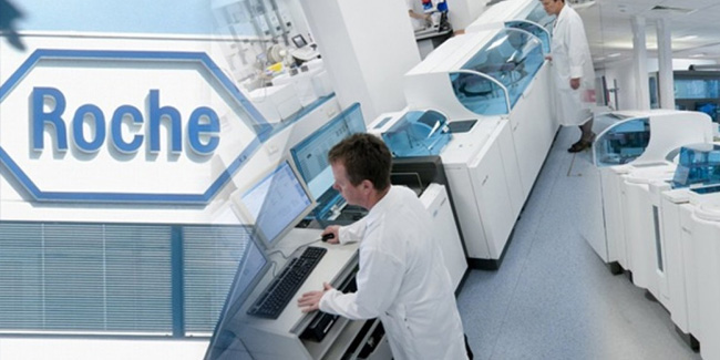  1  -  Roche Holding