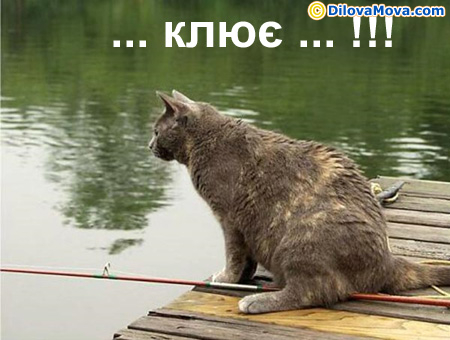 Клює