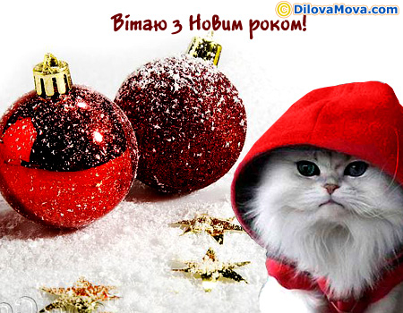 Мої вітання з Новим роком