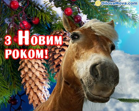 З роком коня