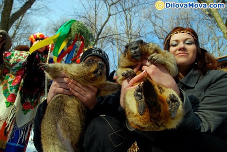Вітання з Днем бабака