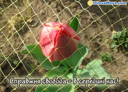 Справжня свобода - в середині нас