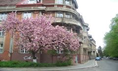 ������� ����. 
 �������. 
 ����� 1280 X 768