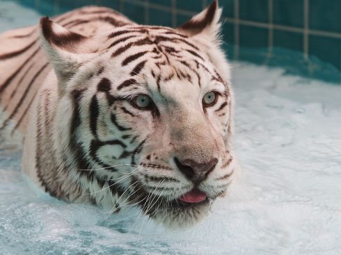 ���� ����� ������ �����. 
 ����� �����. 
 ��������� �������� �������� 1024 X 768 
 304702 byte