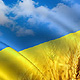 Листівка - З Днем захисника України