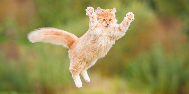 �������� ������� ���� �� 2026-2027 ��.