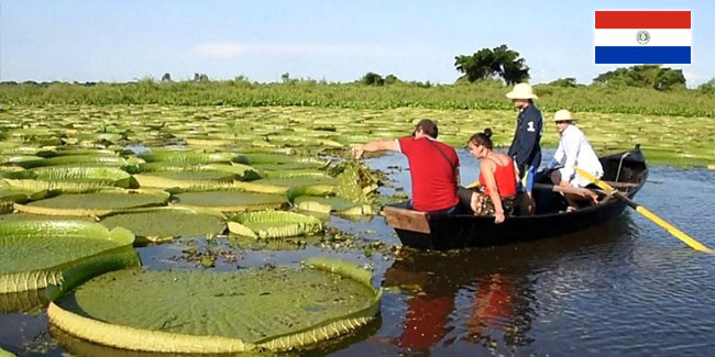 �������� ��������� �������� �� 2026-2027 ��.