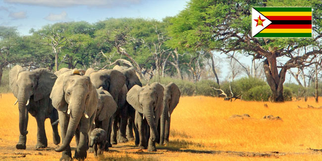 �������� ǳ������ �� 2026-2027 ��.