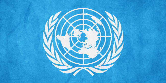    2023-2024 .   , 䳿  ,    