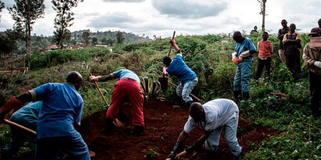 Подія 6 листопада - День посадки дерев в Республіці Конго