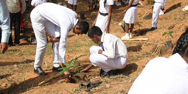 Подія 15 листопада - Національний день посадки дерев на Шрі-Ланці