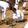 Національний день посадки дерев на Шрі-Ланці