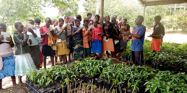 Подія 11 грудня - Національний день посадки дерев в Малаві
