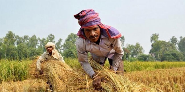 Подія 23 грудня - День фермера в штаті Уттар-Прадеш, Індія