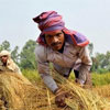 День фермера в штаті Уттар-Прадеш, Індія