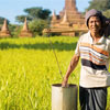 День селян в М'янмі