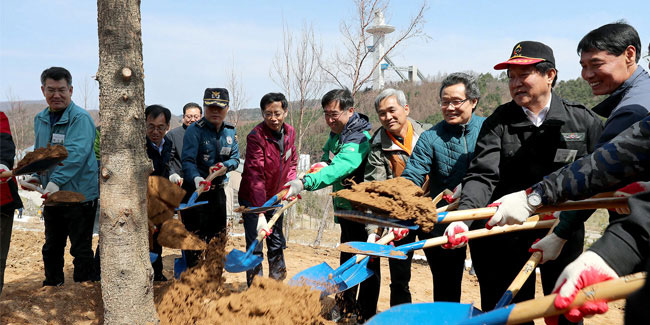Подія 5 квітня - Свято посадки дерев в Південній Кореї