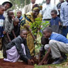 Національний День посадки дерев в Кенії