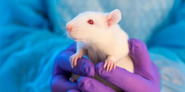 Подія 24 квітня - Всесвітній день захисту лабораторних тварин