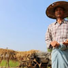 День працівників сільського господарства у М'янмі