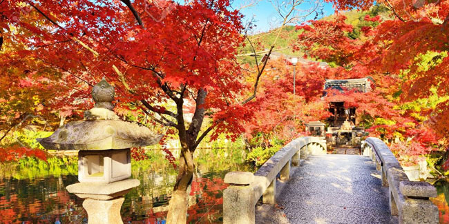 Подія 23 вересня - Свято осіннього рівнодення Сюбун-но-хі в Японії