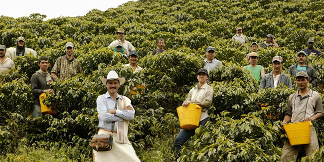 Подія 27 червня - Національний день кави в Колумбії