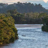 День тропічних лісів Амазонки
