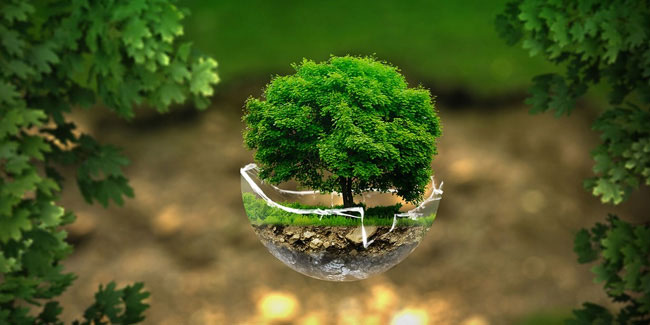Подія 26 вересня - Всесвітній день здоров'я довкілля