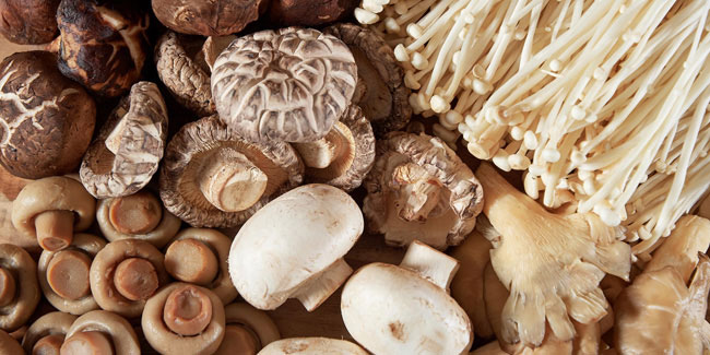 Подія 15 жовтня - Національний день грибів в США