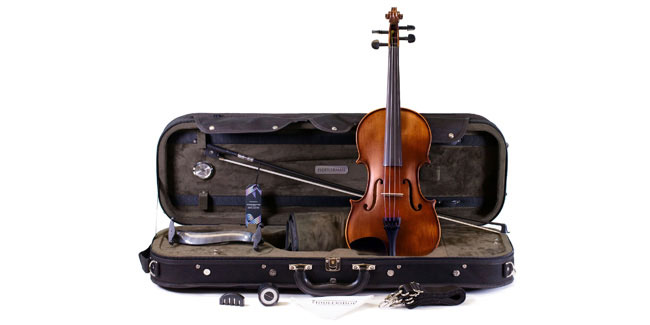 Подія 13 грудня - День скрипки