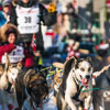 Щорічні перегони на собачих упряжках на Алясці, США