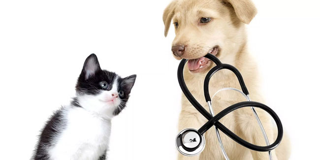 Подія 29 квітня - Всесвітній день ветеринара