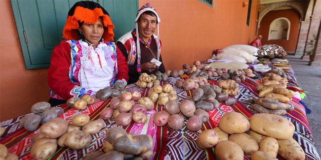 Подія 30 травня - Національний день картоплі в Перу