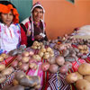 Національний день картоплі в Перу
