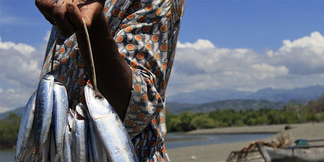 Подія 5 червня - Міжнародний день боротьби з незаконним і нерегульованим рибальством