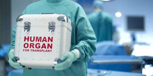 Подія 17 жовтня - Всесвітній день донорства та трансплантації органів