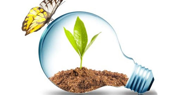 Подія 14 грудня - Національний день енергозбереження в Індії