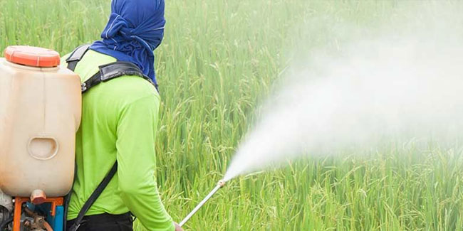 Подія 3 грудня - Міжнародний день боротьби проти пестицидів