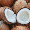 Національний день кокоса в США
