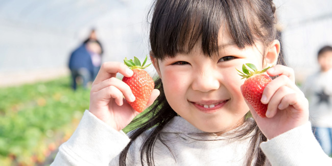 Подія 5 січня - День полуниці в Японії