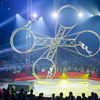 Міжнародний цирковий фестиваль у Монте-Карло