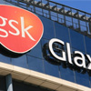  GlaxoSmithKline