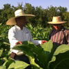 День агронома у Сальвадорі