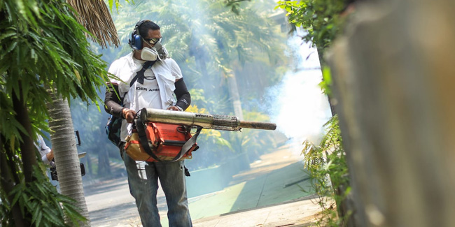 Подія 29 серпня - Національний день боротьби з лихоманкою денге у Сальвадорі