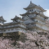 День замку в Японії