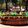 Фестиваль традиції Чапака в Болівії