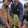 День посадки дерев у Колумбії