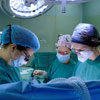 Всесвітній день трансплантології