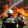 День запобігання лісовим пожежам в Аргентині