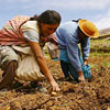 День фермера і сільськогосподарського виробника в Аргентині